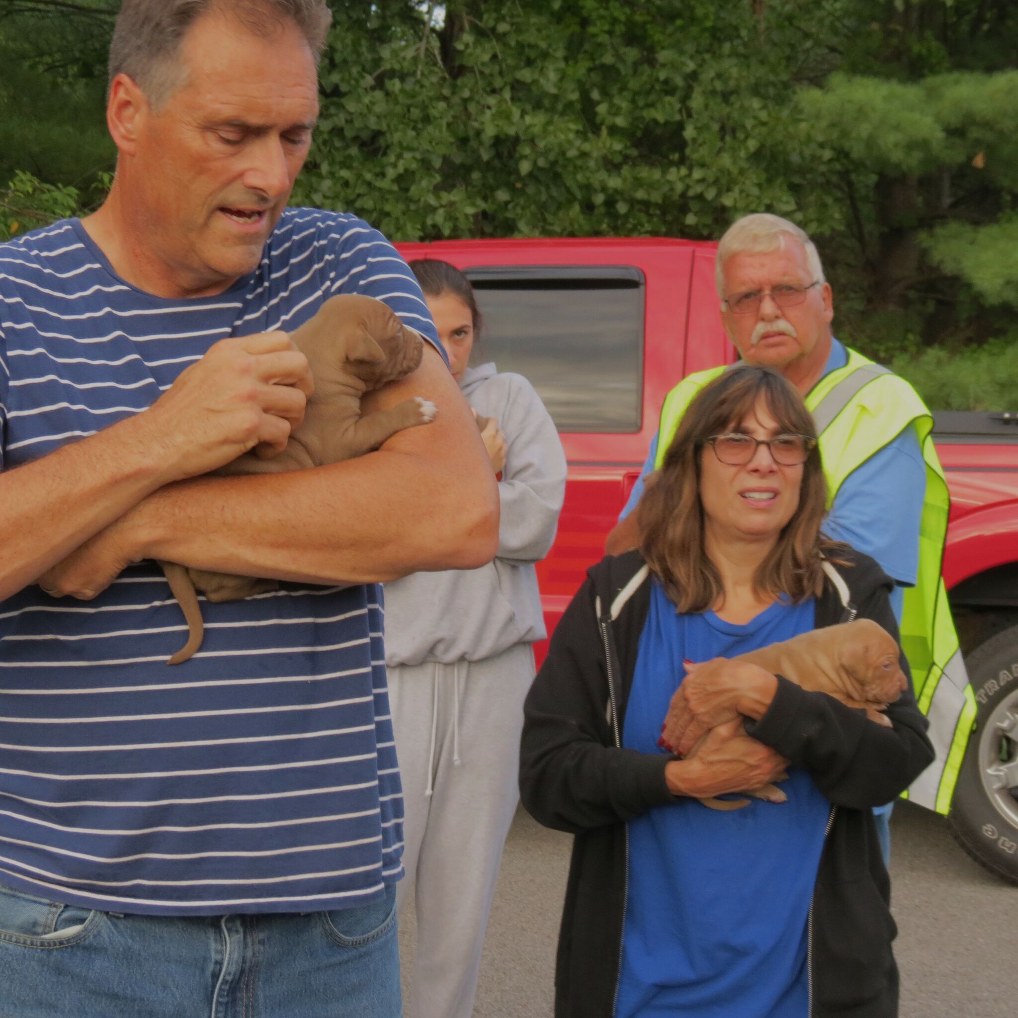 Firefighters rescue puppies from burning Bethlehem home - Vimarsana News