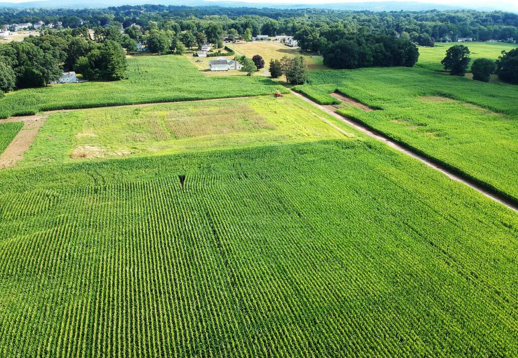 1 million-square-foot Cromwell warehouse decision delayed until October - Vimarsana News