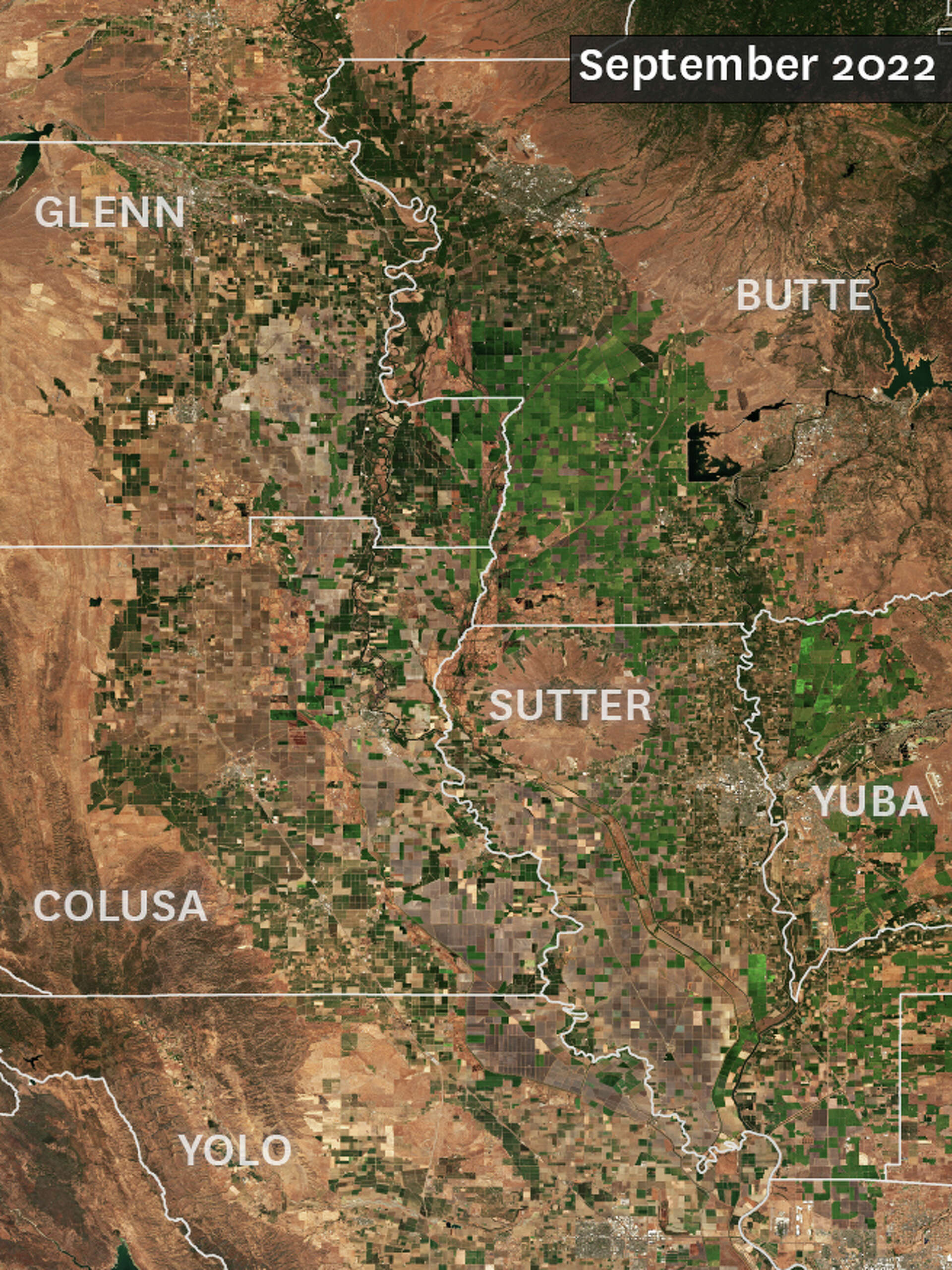 The rice capital of California is ‘now just a wasteland.’ Satellite ...