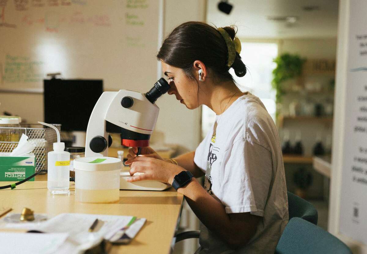 Jessica Clay, a student volunteer from Cal State Long Beach, works with a water sample from the Great Pacific Garbage Patch, a collection of marine debris in the North Pacific Ocean. State water regulators plan to begin testing for plastics in drinking water next year.