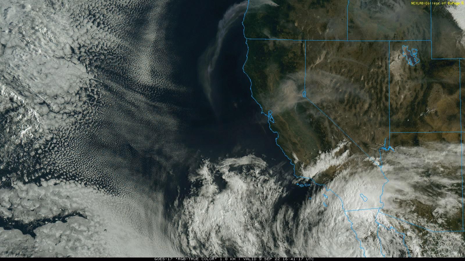 Hurricane Kay to bring extreme weather to California, Bay Area - Vimarsana News
