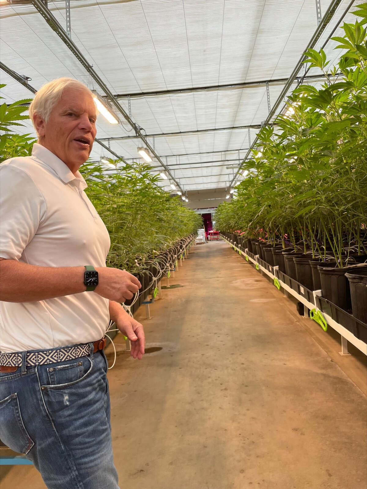 Brant Smith shows off his hemp farm in Cheshire.