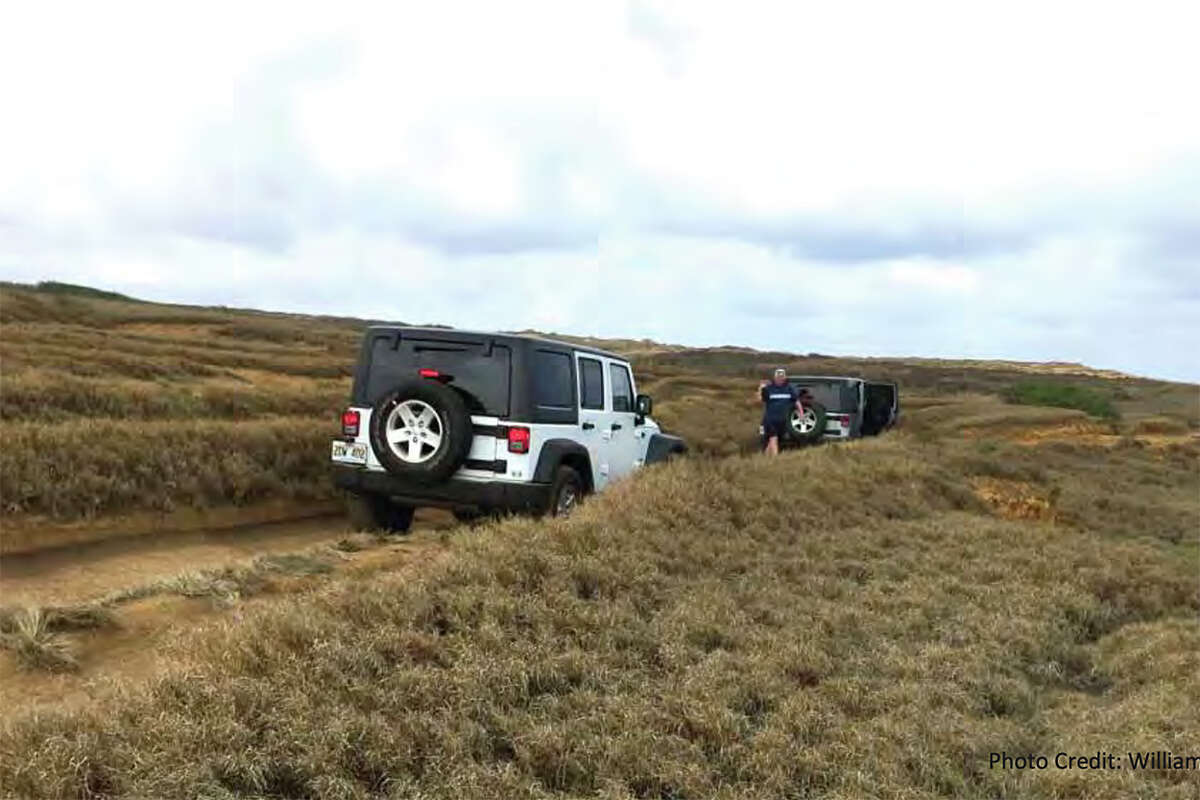 Though rental cars restrict offroading, visitors are still seen navigating the illegal roads to Papakolea Beach and around South Point.