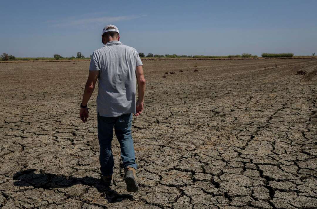 The rice capital of California is ‘now just a wasteland.’ Satellite ...
