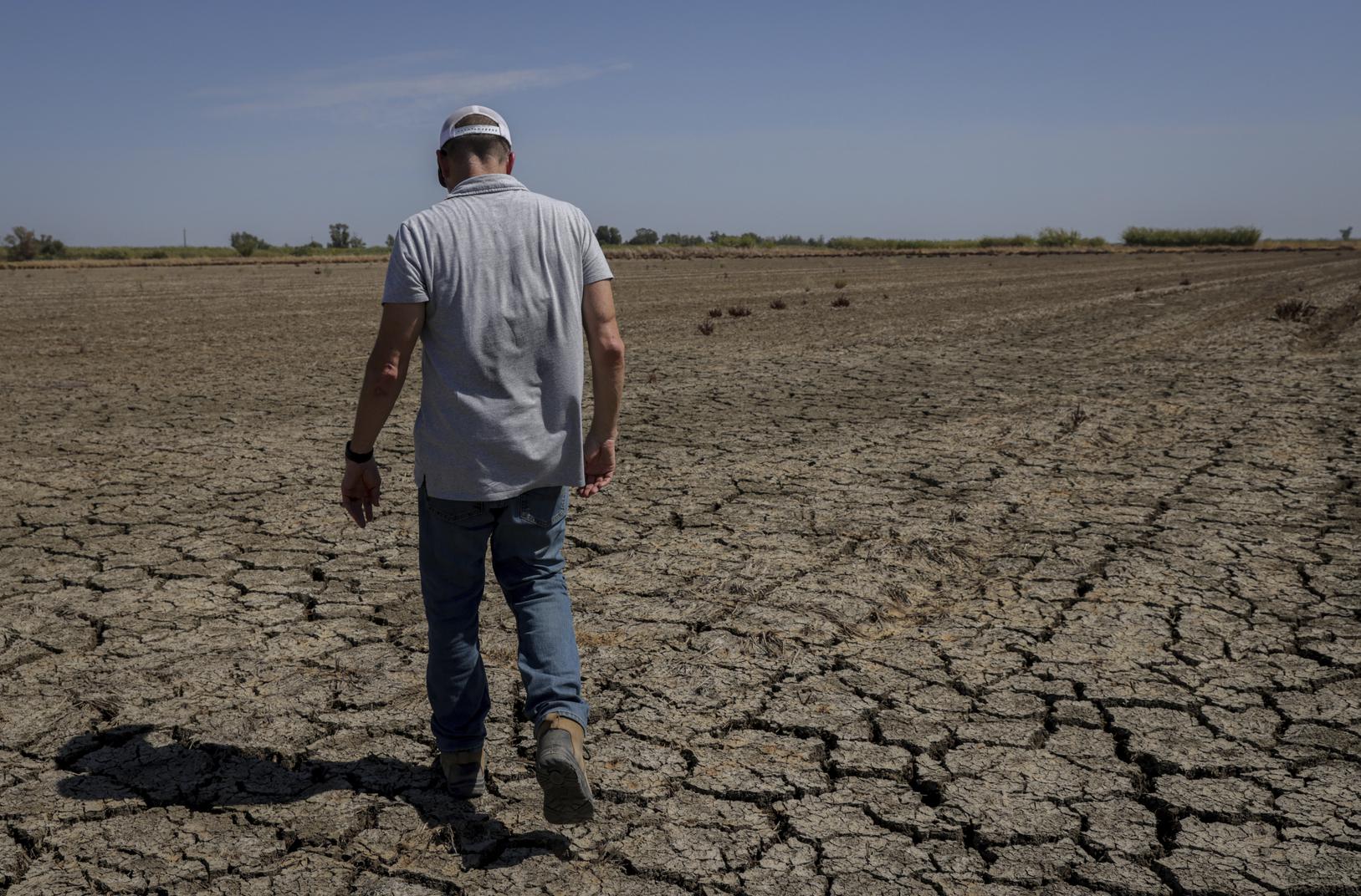 The rice capital of California is 'now just a wasteland