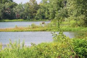 Pond neighbors object to park at wildlife ‘sanctuary’