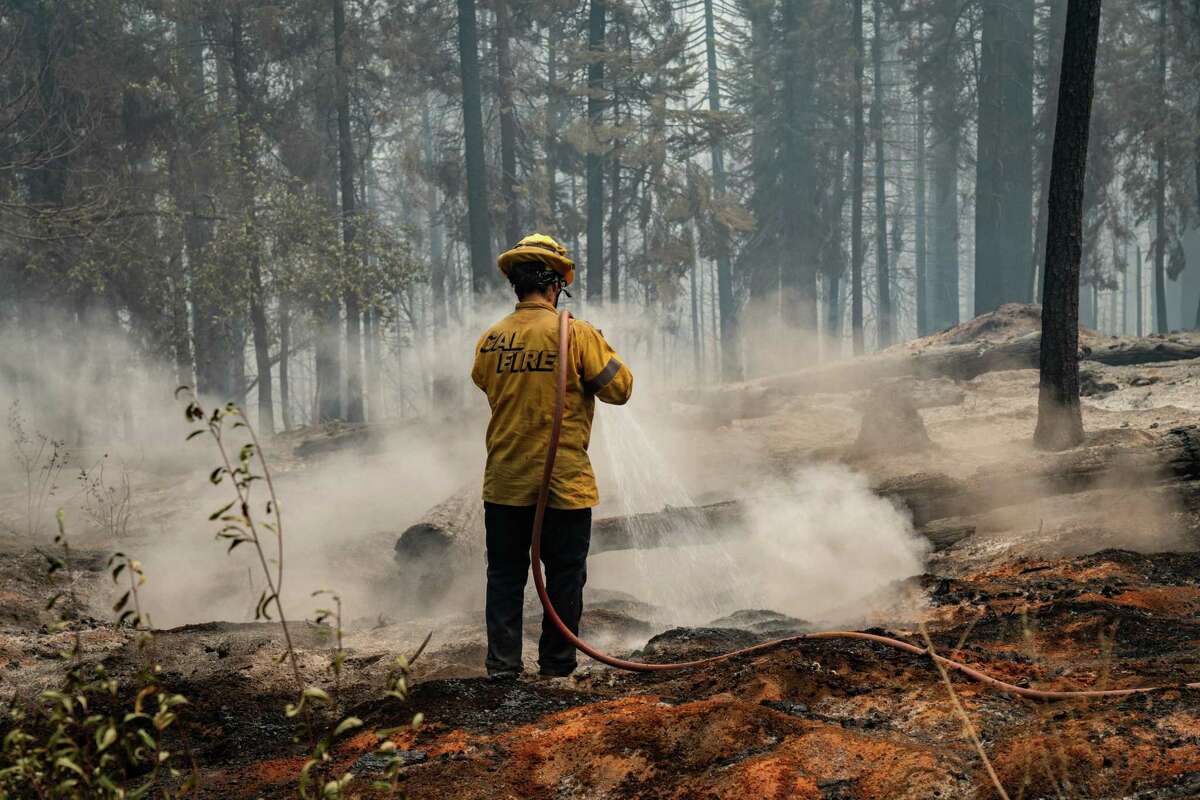 A firefighter doused fire at Michigan Bluff community in Placer County, Calif. on September 9, 2022, California’s Mosquito Fire burning near the Placer County town of Foresthill had reached 33,754 acres as of Saturday morning, slower growth than it displayed in previous days.