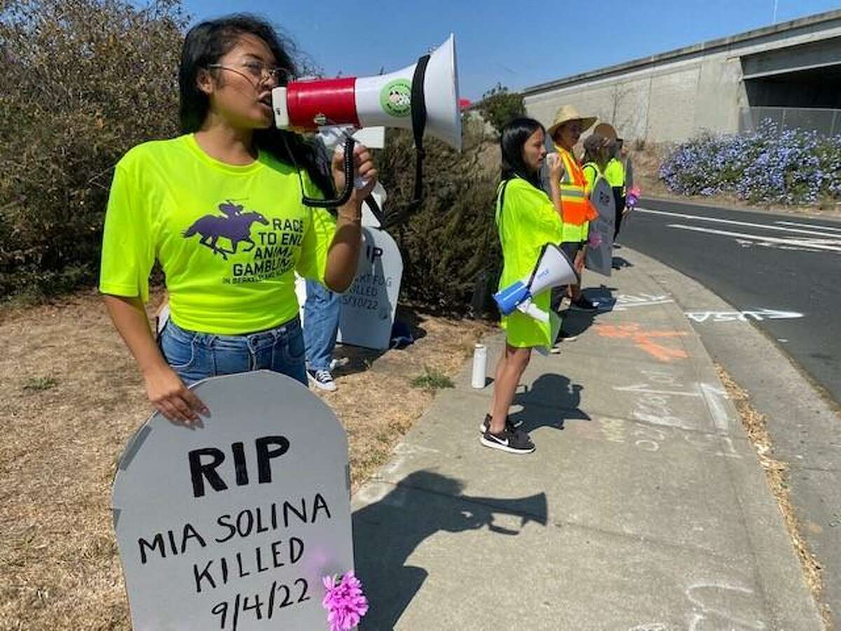 Ace Taguines, 23, an animal liberation protester from Sacramentot, holds up a mock tombstone for Mia Solina, a horse that died Sunday at Golden Gate Fields.