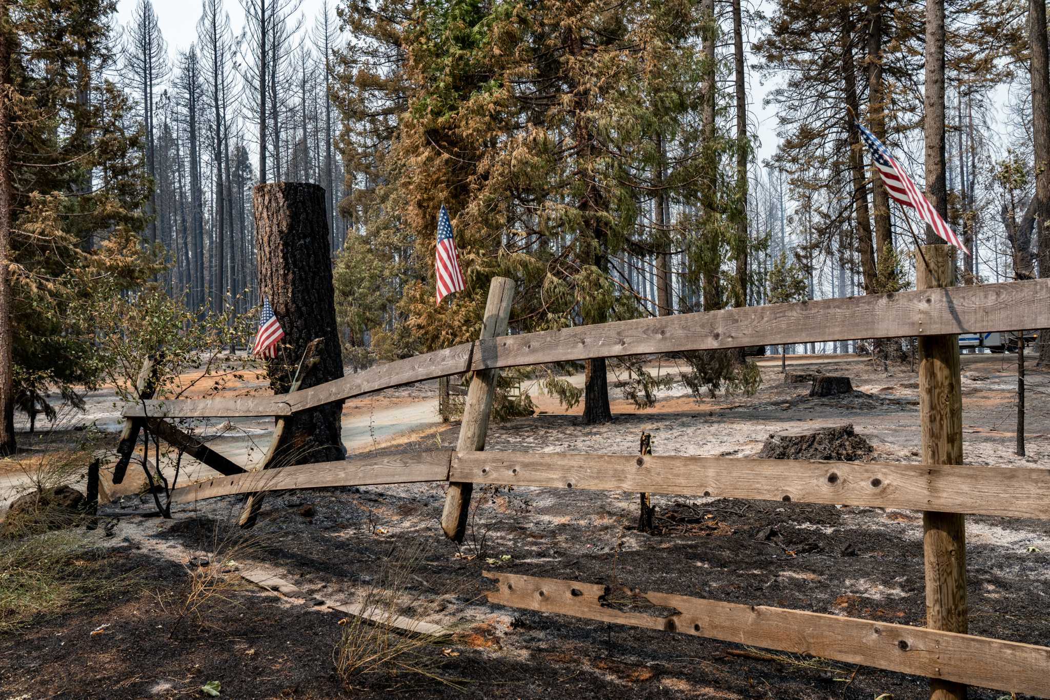 Mosquito Fire: The battle for Volcanoville - Vimarsana News