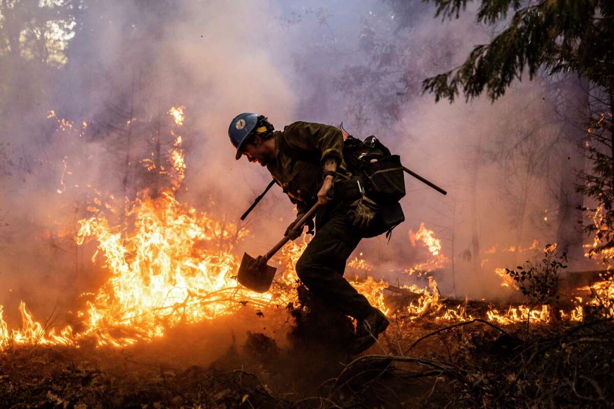 Fireman with Plumas Hotshots cut the arm line fighting the Mosquito Fire near Michigan Bluff. in unincorporated Placer County, California.  Thursday, September 8, 2022 (Stephen Lam/San Francisco Chronicle via AP)
