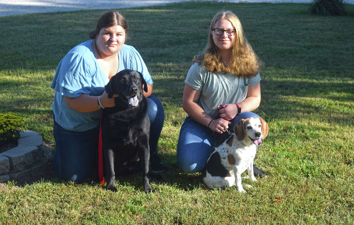 Emma Ford (left), 13, and her sister, Savanna, 14, entered the Illinois 4-H State Dog Show with their dogs, Bear, a black Labrador, and Lola, a beagle.
