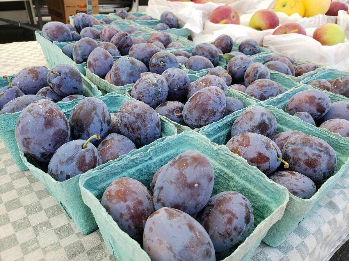 Deep purple plums from Woodland Farms at the New Canaan farmers market mean it's time to bring out Marion’s recipe. 