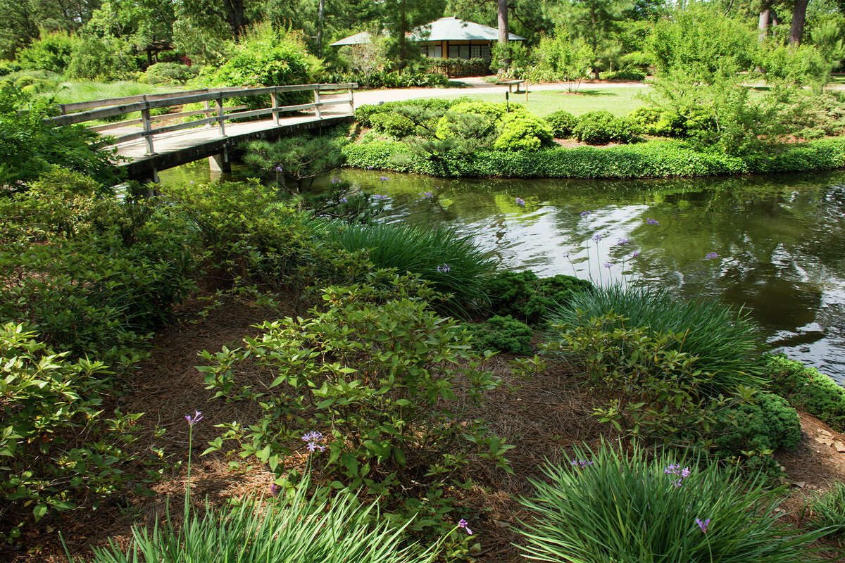 The Japanese Gardens at Houston's Hermann Park. 