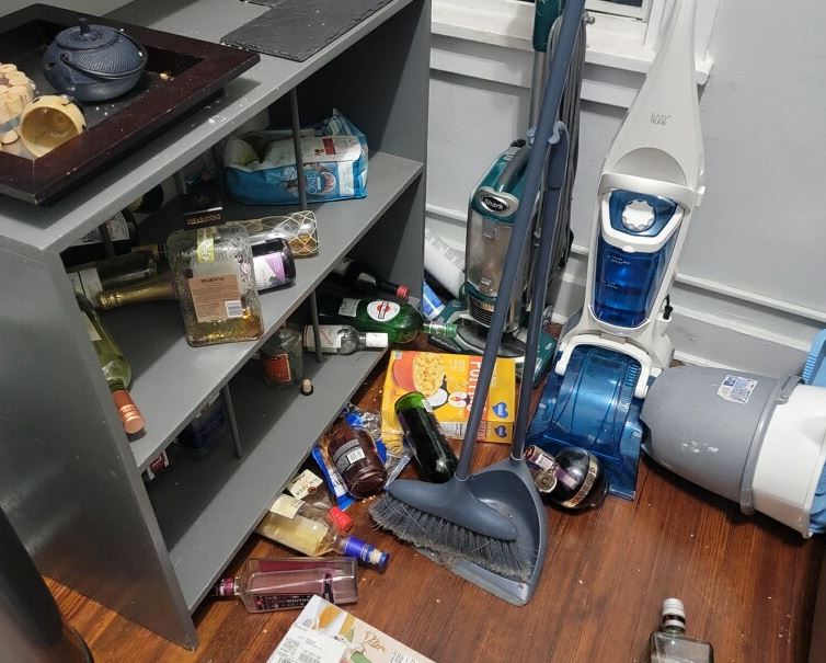 Wily raccoons ransacked an Albany County legislator's house. - Vimarsana News