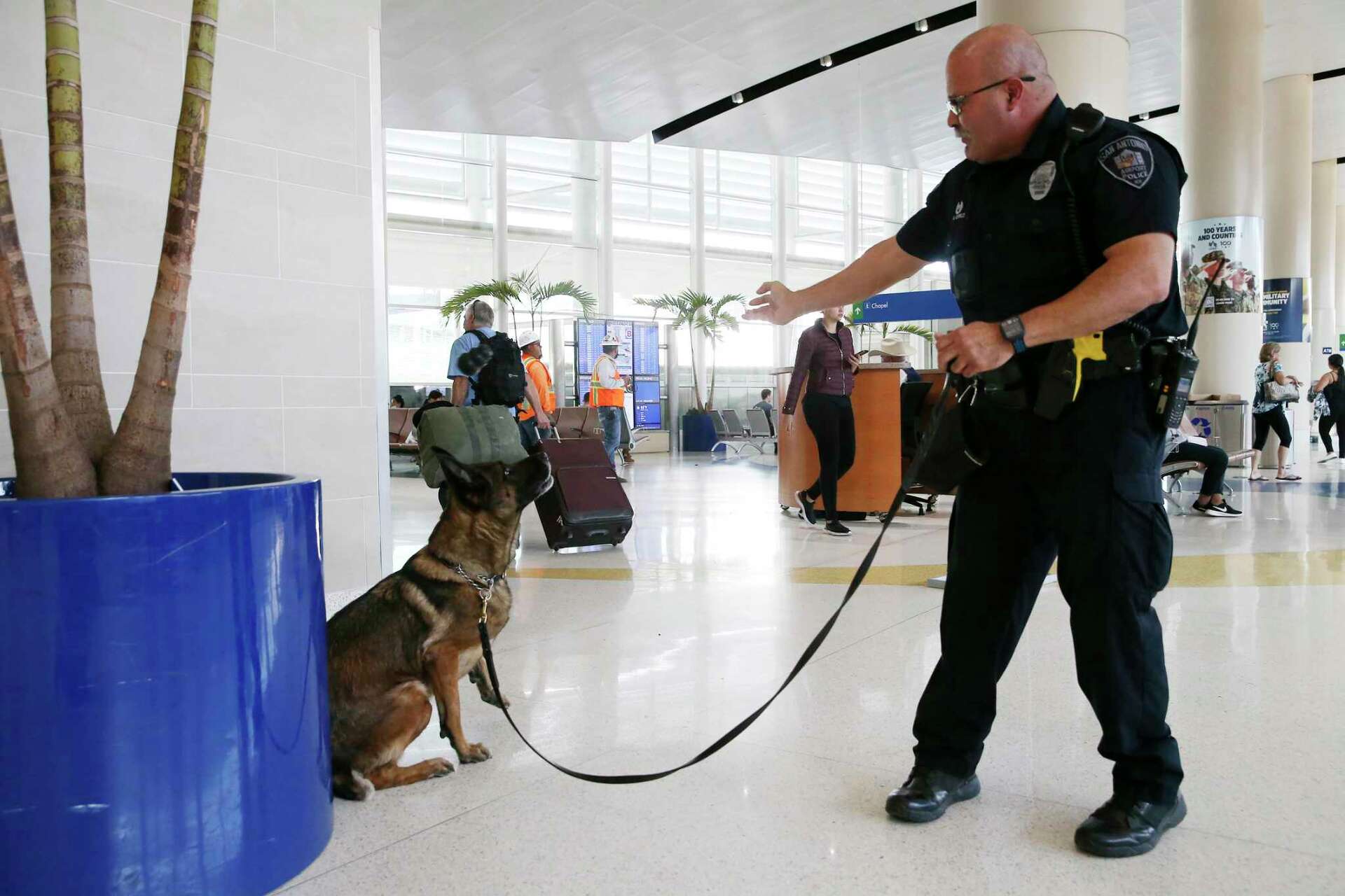 Super Bowl bomb-detecting dogs were trained in San Antonio