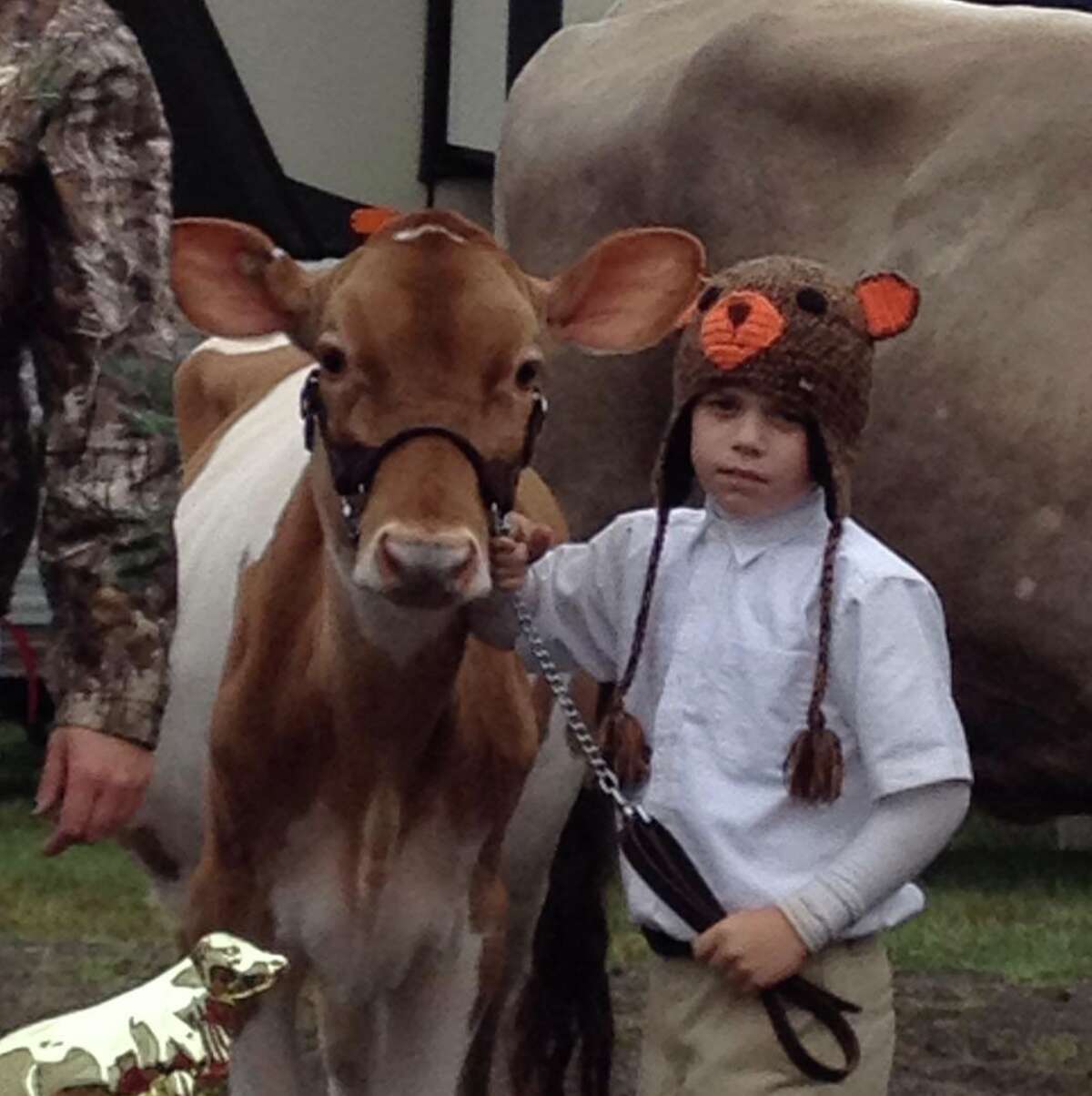 A cow at the Berlin Fair.