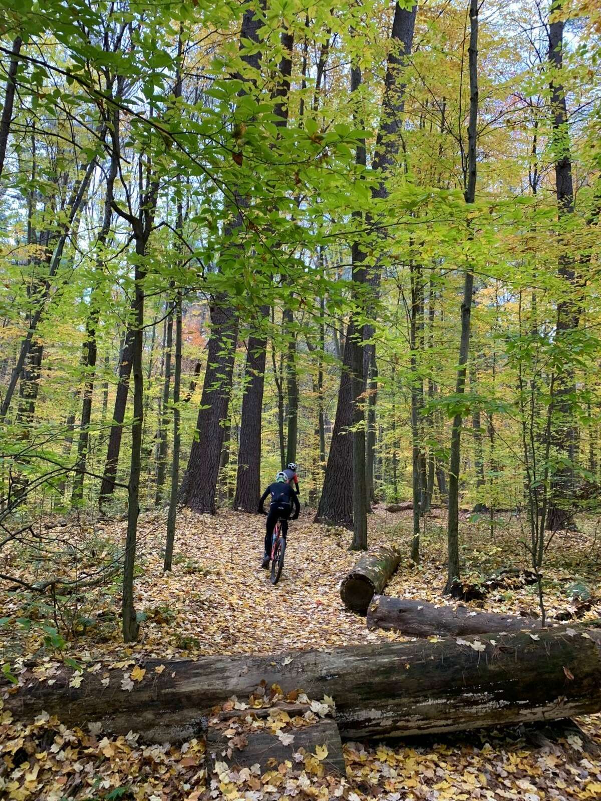 Dragon Trail at Hardy Dam to get 1 million boost