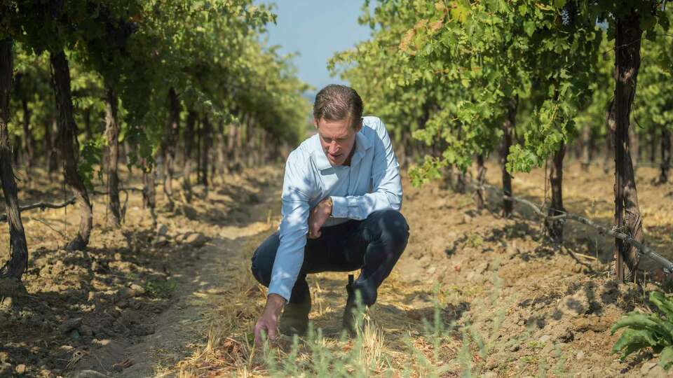 Story photo for This climate-friendly farming approach could also make better-tasting wine