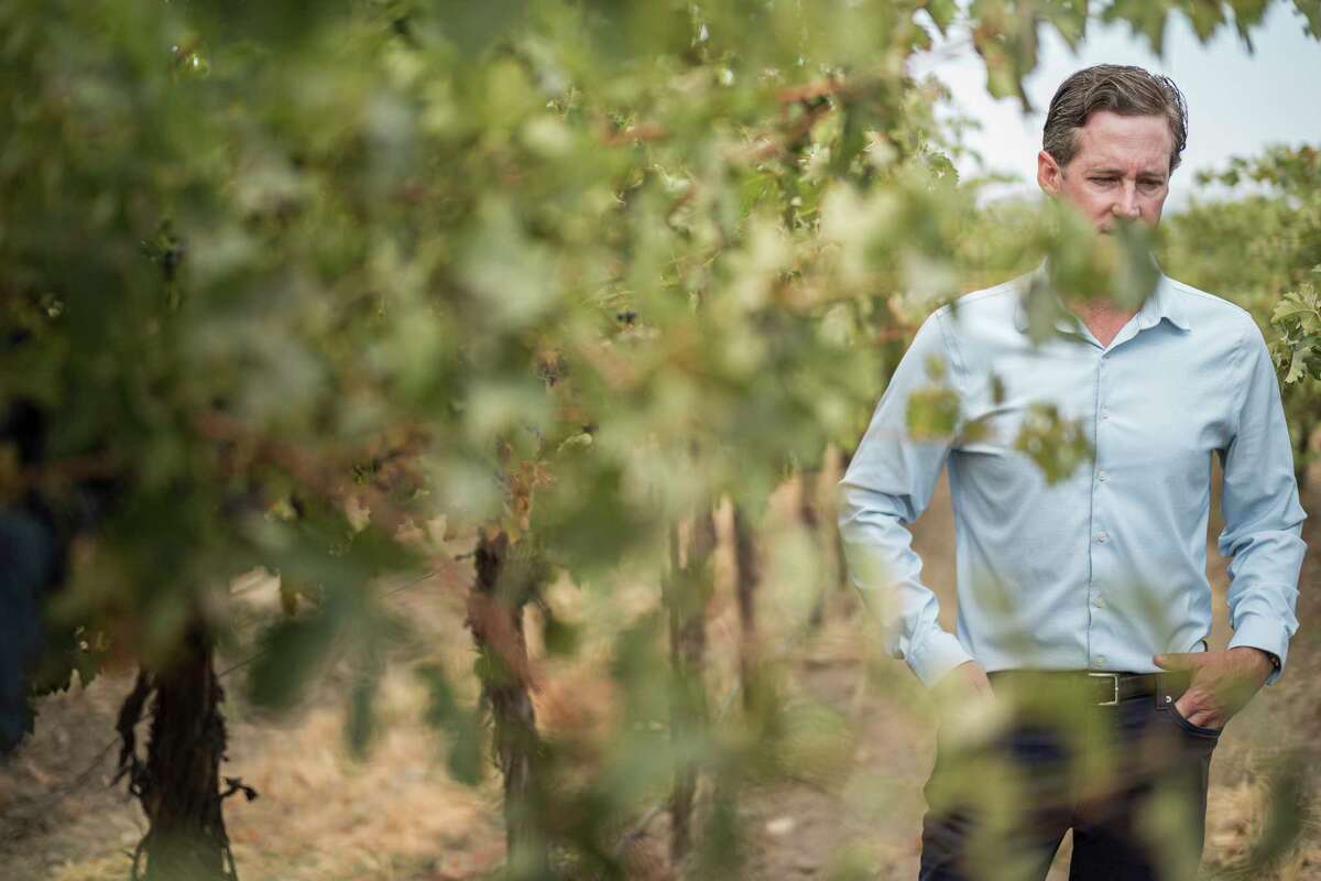 Managing director Caine Thompson began a regenerative farming experiment at Robert Hall Winery in Paso Robles (San Luis Obispo County) two years ago.
