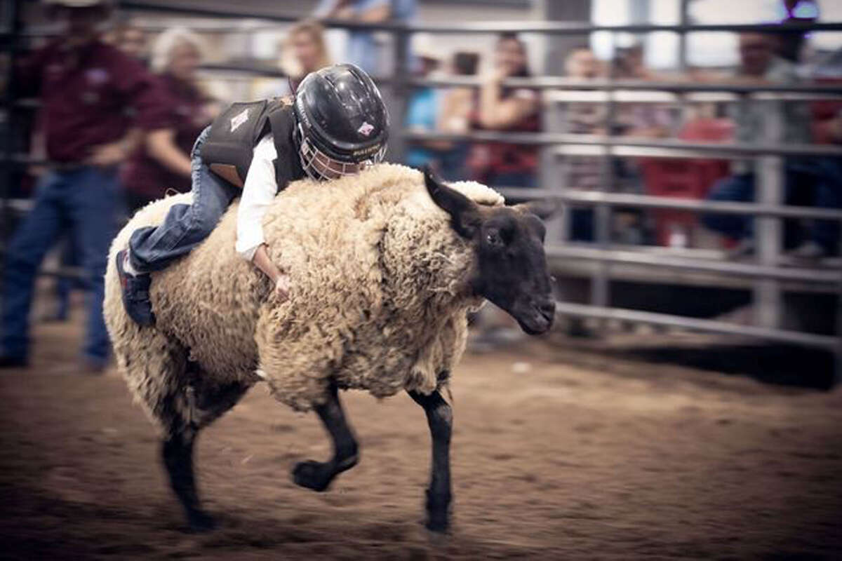 2022 Fort Bend County Fair Schedule, events, food, music and more