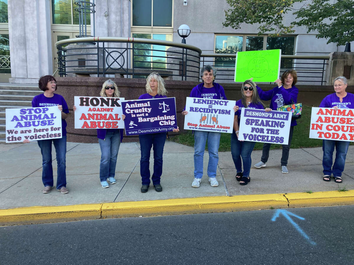 East Hampton horse trainer Alexis Wall pleads not guilty to animal