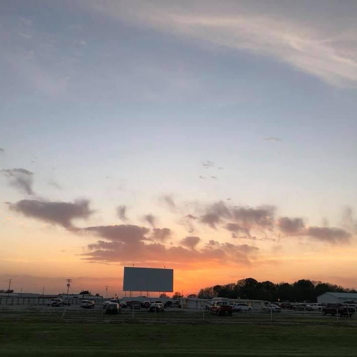 Mobil1 and Skyview DriveIn partner to set a world record for most dogs