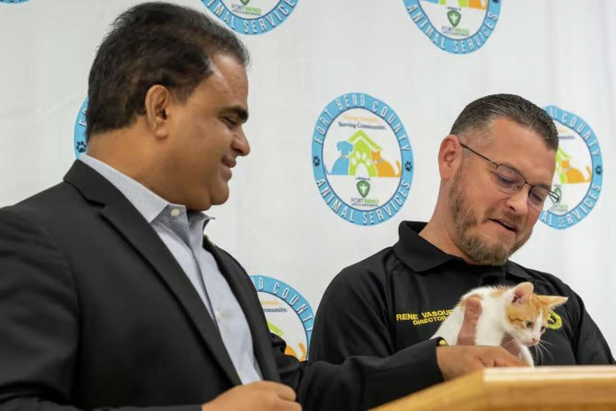 FBCAS Director Rene Vasquez joined Fort Bend County Judge KP George for a news conference on Thursday, Sept. 15, to announce the launch of Dog Dash and Kitty Kab. They were joined by Draco the kitten. 