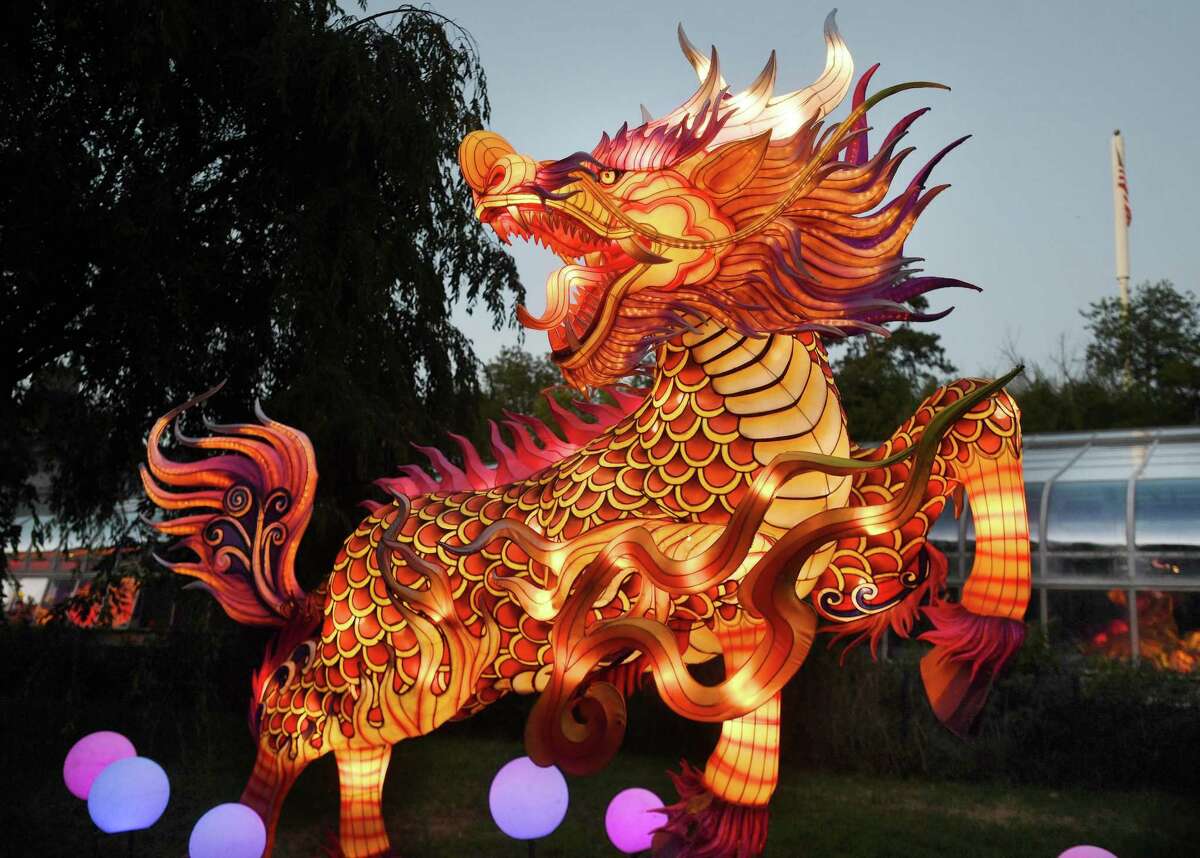 Photos: Beardsley Zoo celebrates birthday with lantern festival