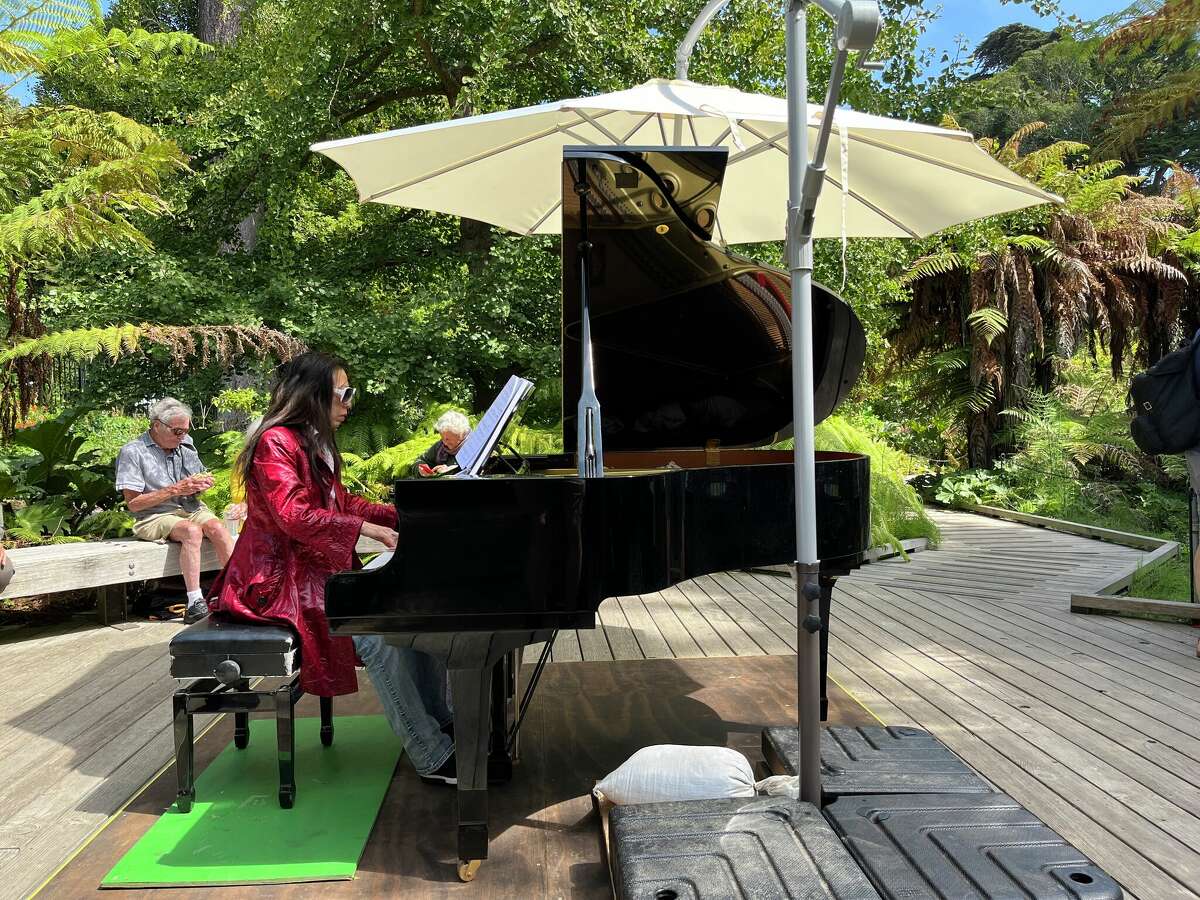 Jazz Xian plays "Fur Elise" in the Ancient Plant Garden at Golden Gate Park on Sept. 16, 2022.