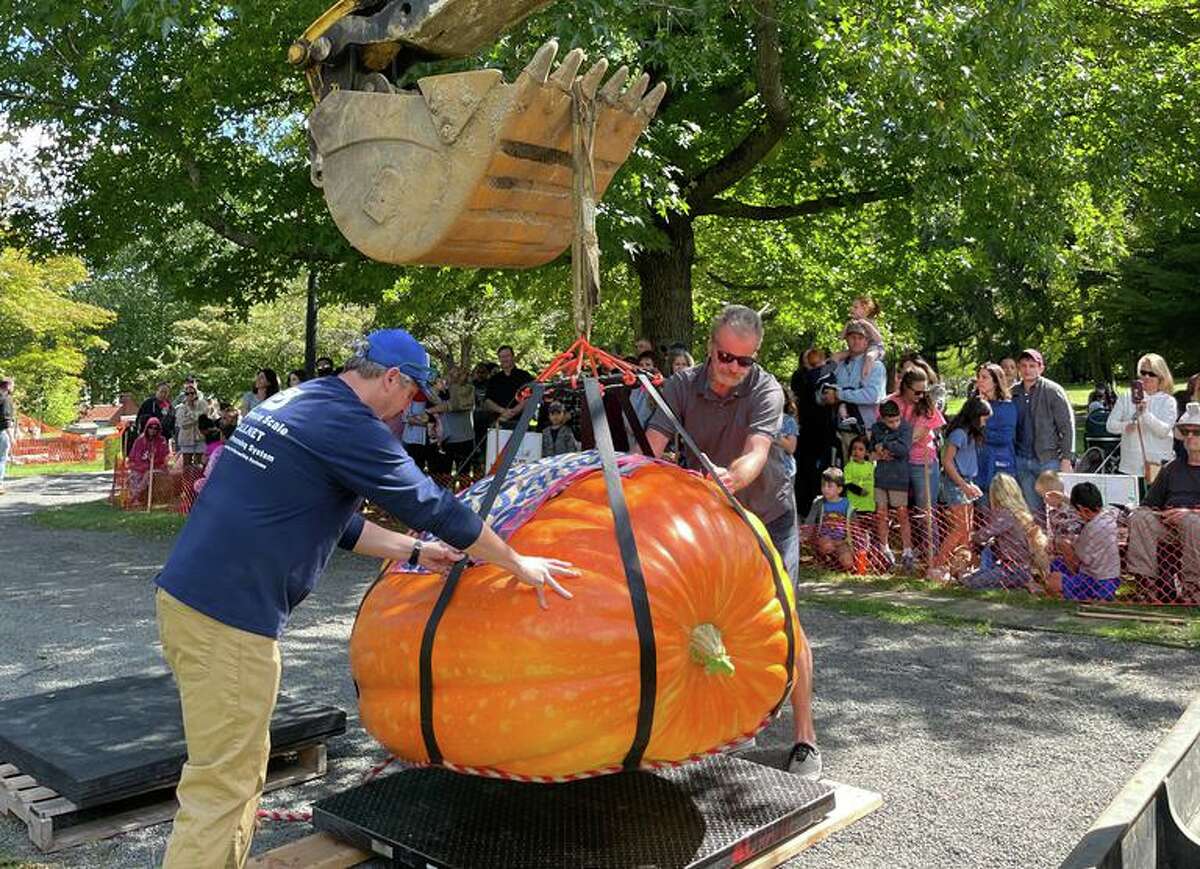 Ridgefield’s Giant Pumpkin Weigh-Off Promises To Be ‘bigger And Better ...