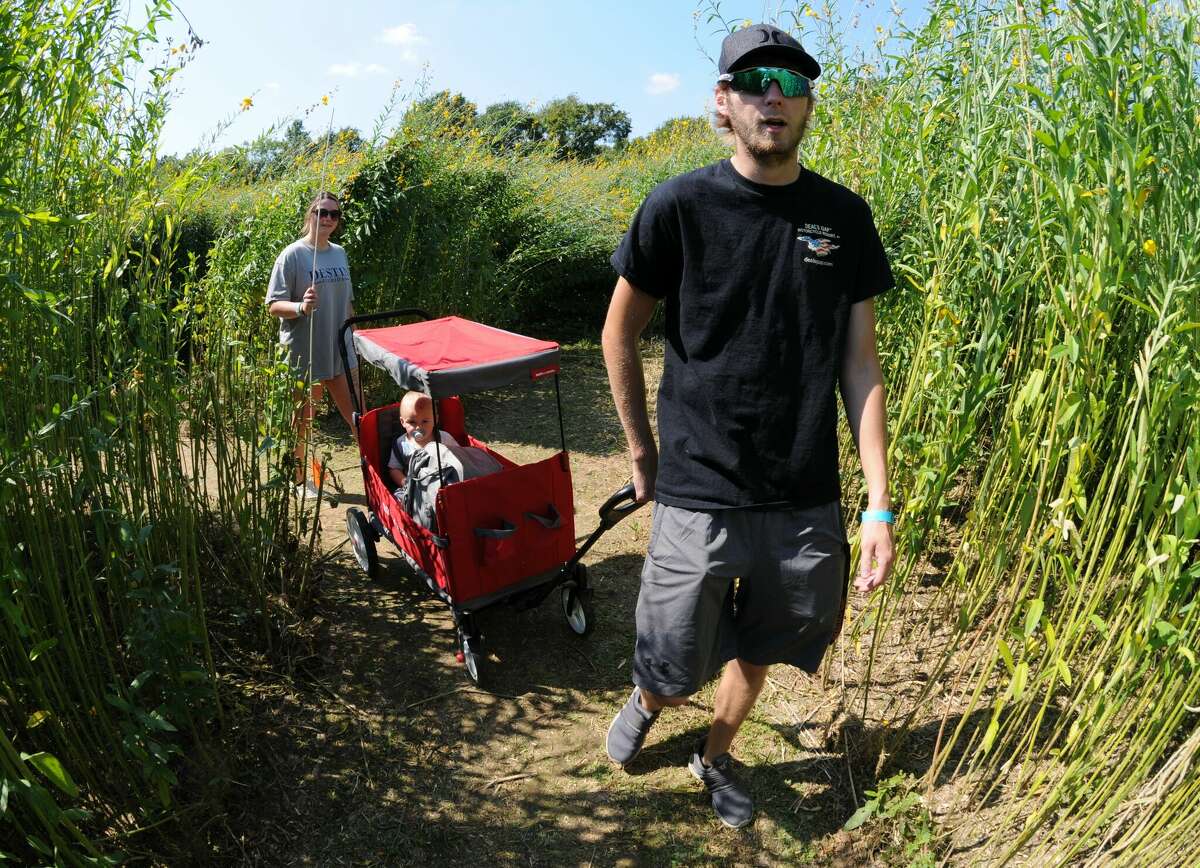 Alex Watts attempts to break out of the Great Godfrey Maze while dragging his son, Waylon.  and led Tori Rae through a 10-foot-high field of hemp on Saturday.
