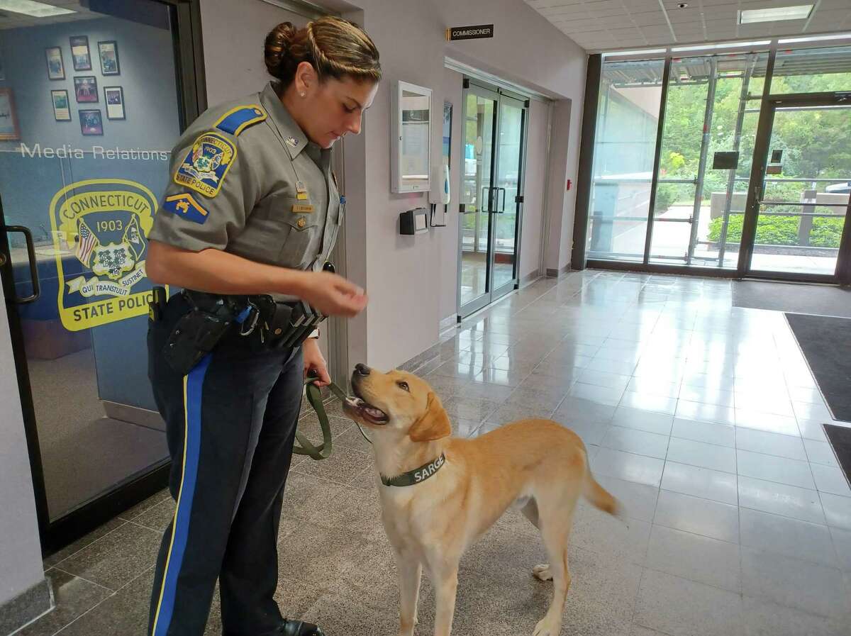 Connecticut State Police Trooper First Class Donna Sabourin and Sarge at state police headquarters in Middletown.