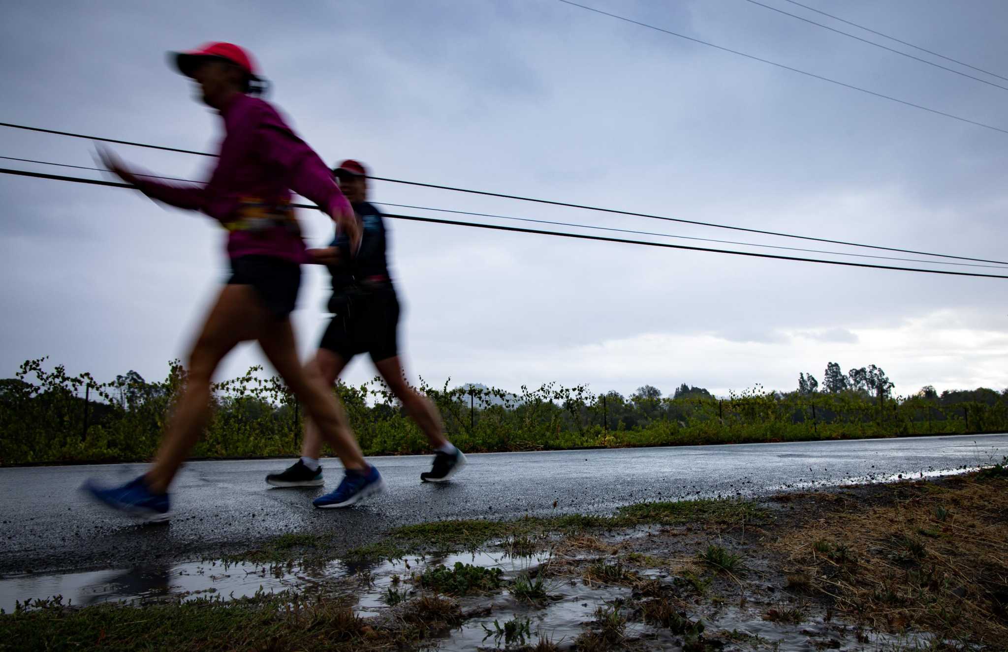 Wind advisory issued for the Bay Area Sunday, with power outages likely