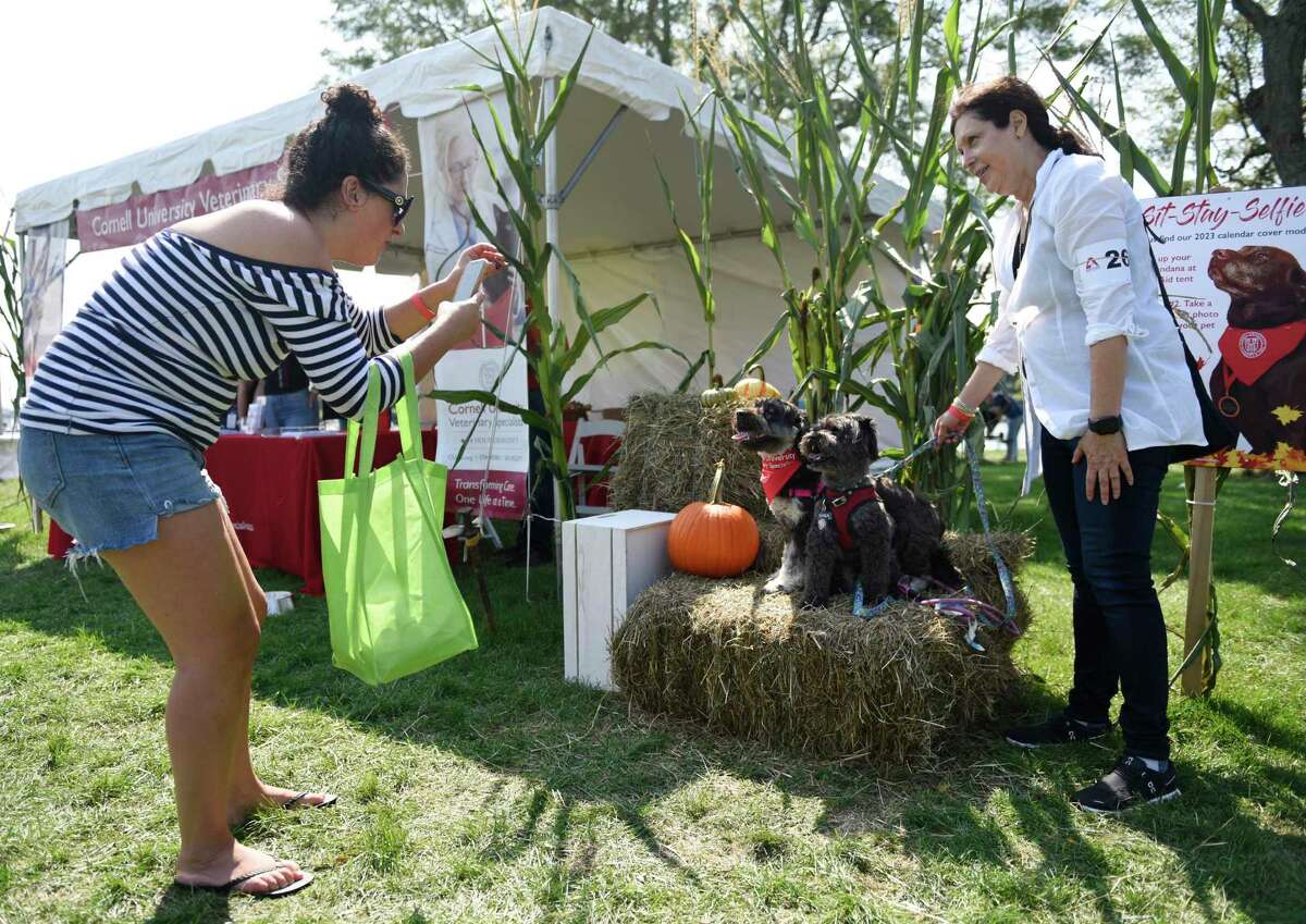 Rebecca Cianci and her mother, Margaret Cianci, of Greenwich, pose with their dogs, Ella and Shea, at the Sit-Stay-Selfie station at Adopt A Dog's annual Puttin' On The Dog fundraiser and adoption event at Roger Sherman Baldwin Park in Greenwich, Conn. Sunday, Sept. 18, 2022. The event featured music, pet-related vendors, demonstrations, competitions, and more fun activities for dogs and pet lovers.