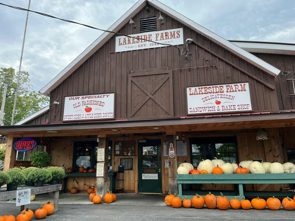 Lakeside Farms in Ballston Lake touts itself as home to the original apple cider doughnut.