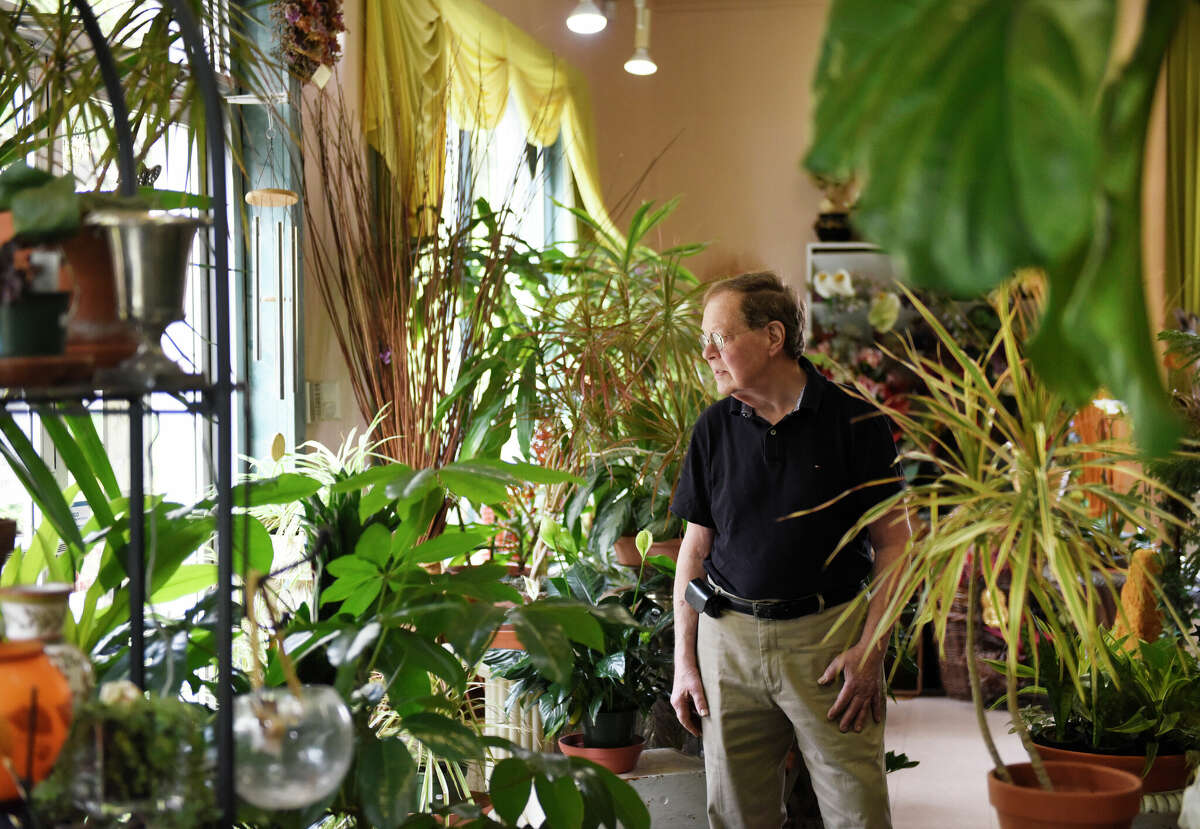 The business owner, Peter Rogers, is based in Stamford, Conn.  Monday, September 19, 2022 You are viewing a collection of flowers and plants at Peter Rogers Florist. 