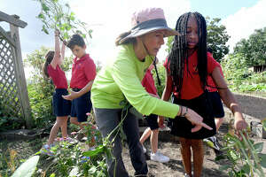 Class returns to the garden, ready to harvest home-grown food