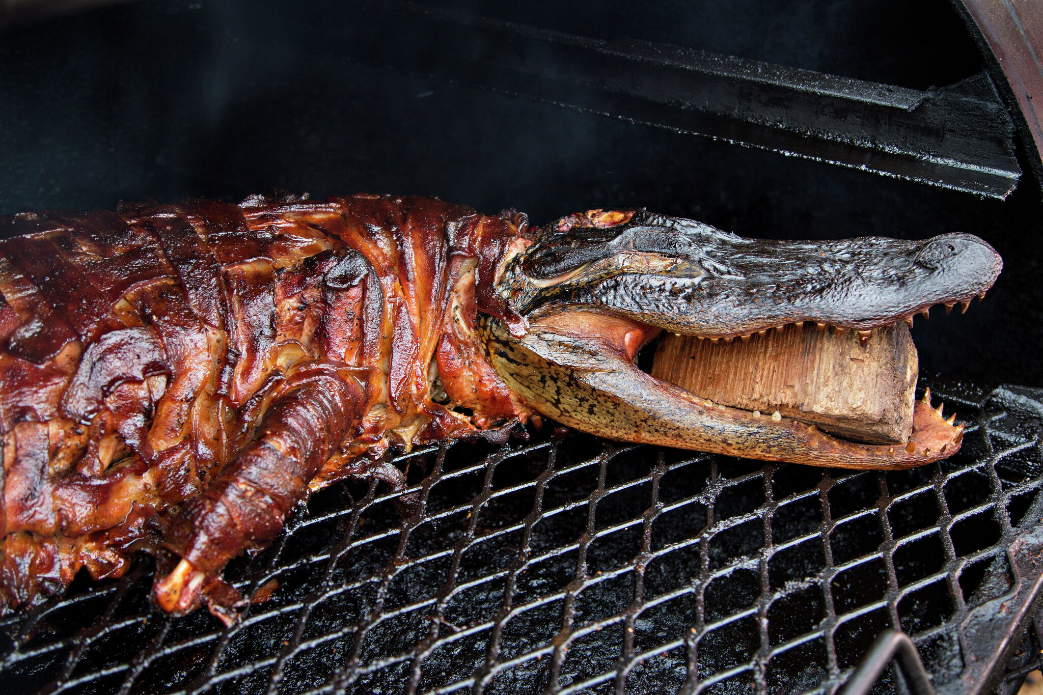 eating-alligator-growing-in-popularity-in-houston-and-gulf-coast