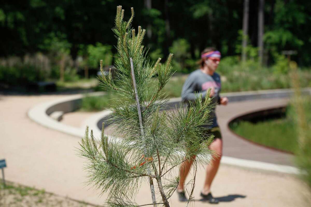 Story photo for Memorial Park ranks top among best Texas trails for running, report says