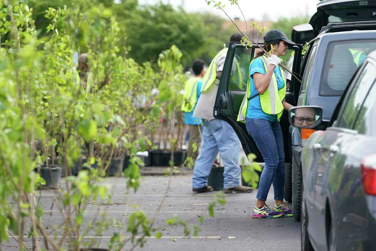 NRG helps plant trees around Houston