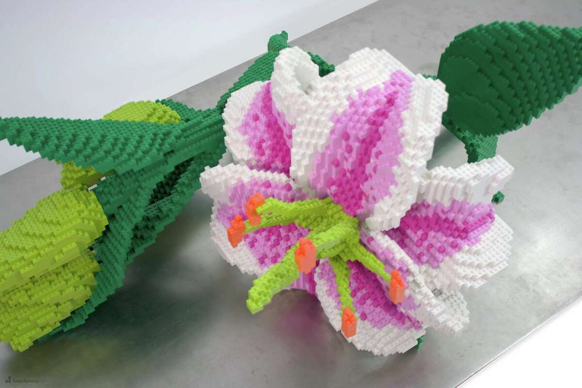 Sean Kenney’s ‘Nature Connects Made with LEGO Bricks’ exhibit is coming