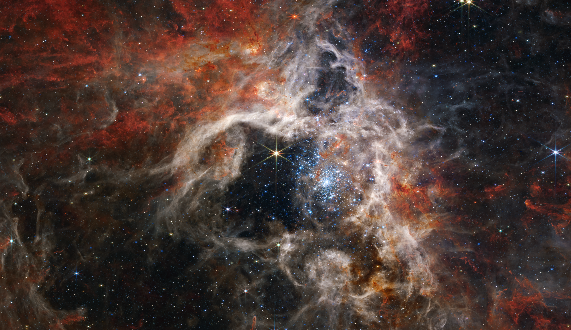 Un astrónomo de la Universidad Estatal del Sur de Connecticut fotografió la estrella masiva R1361a