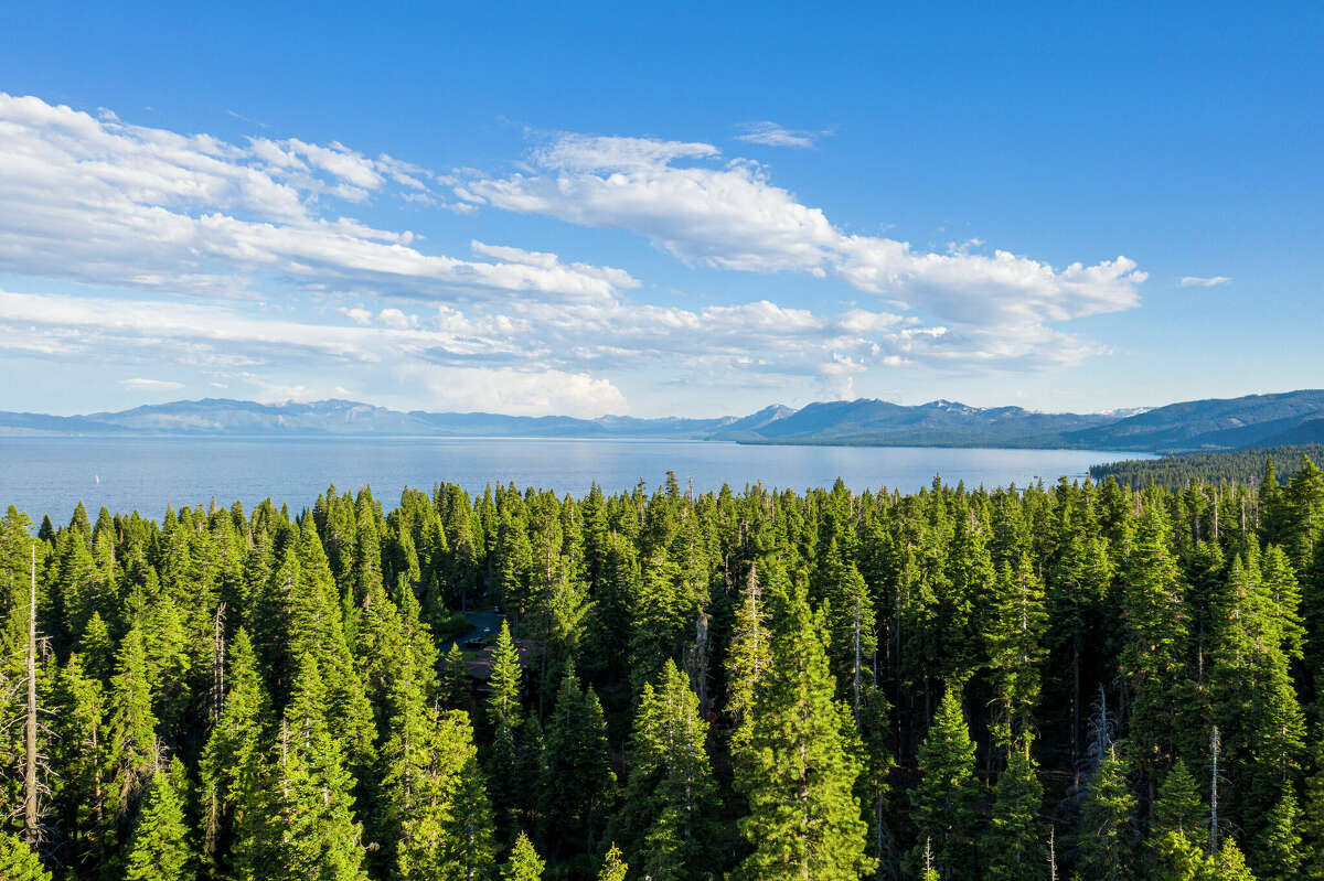 A file photo of a forested area in Lake Tahoe. The U.S. Forest Service said fir trees are dying at a higher rate than normal because of prolonged drought conditions and bark beetles.