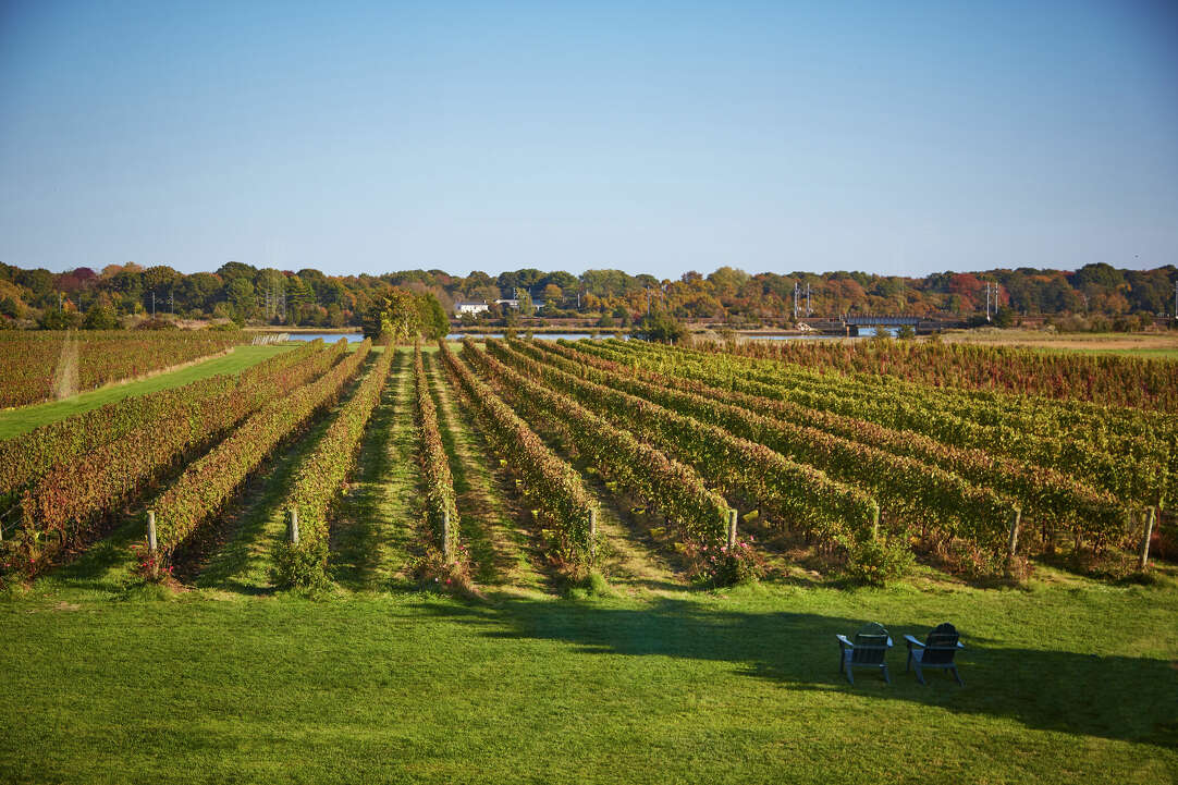 Winter Warmer Wine & Cocktail Trail now open 