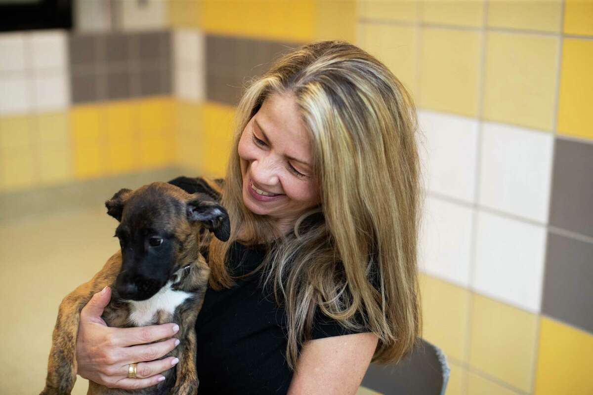 Houston SPCA vice president of communications Julie Kuenstle interacts with puppies available for adoption at the Houston SPCA Adoption Center, Friday, Sept. 2, 2022, in Houston.