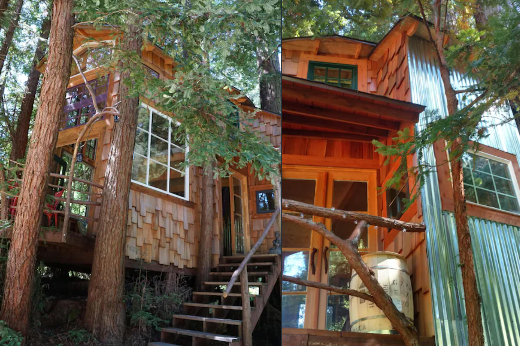 Sleep in a treehouse in the Santa Cruz forests for less than 200