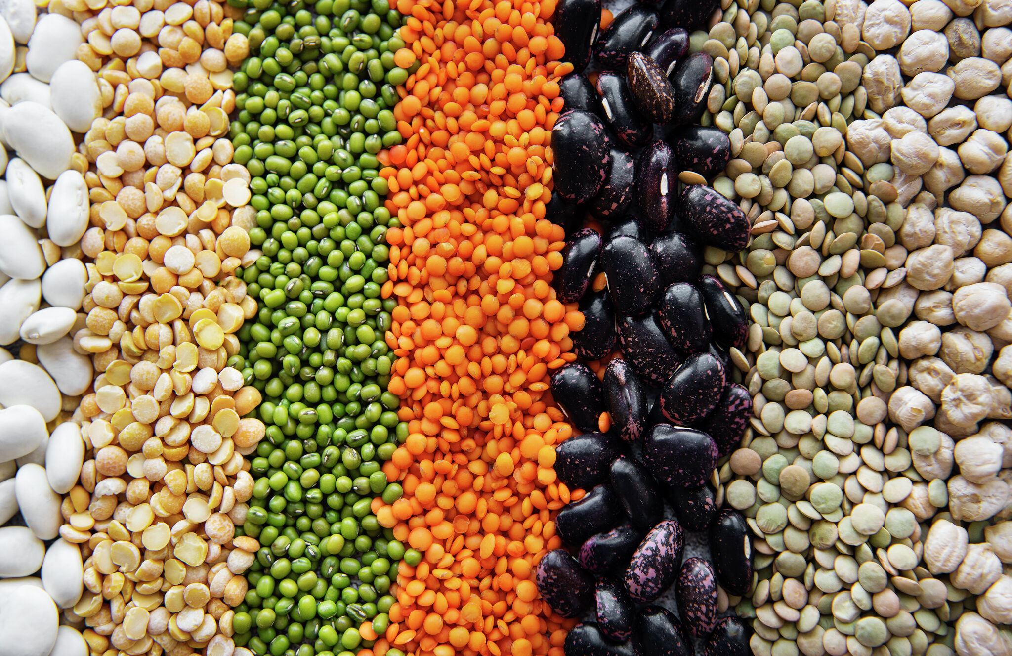 10 beans and legumes high in protein