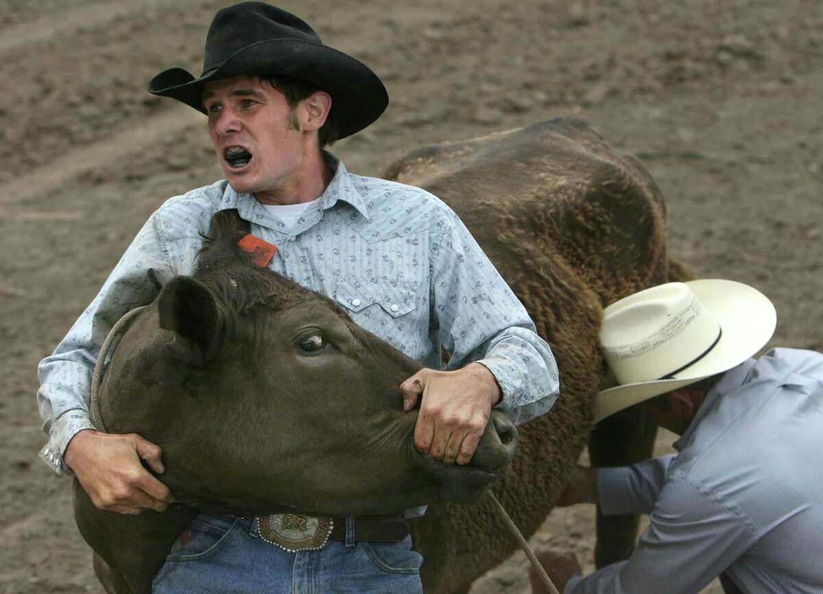Tyler Nielsen holds down a cow as his uncle Ryan Nielsen milks it during the wild cow milking competition at the Rowell Ranch Rodeo in Castro Valley in May 2006.