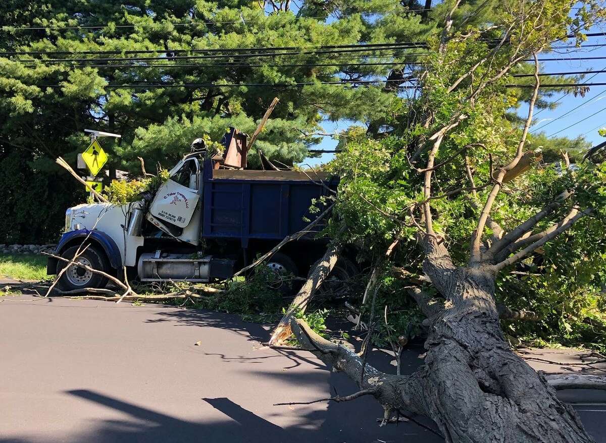 Police in Norwalk have closed a section of West Rocks Road after a tree fell on utility wires and a truck shortly before noon on Friday. Police said the driver was out of the vehicle. Close to 1,000 outages were reported in the city, according to Eversource.