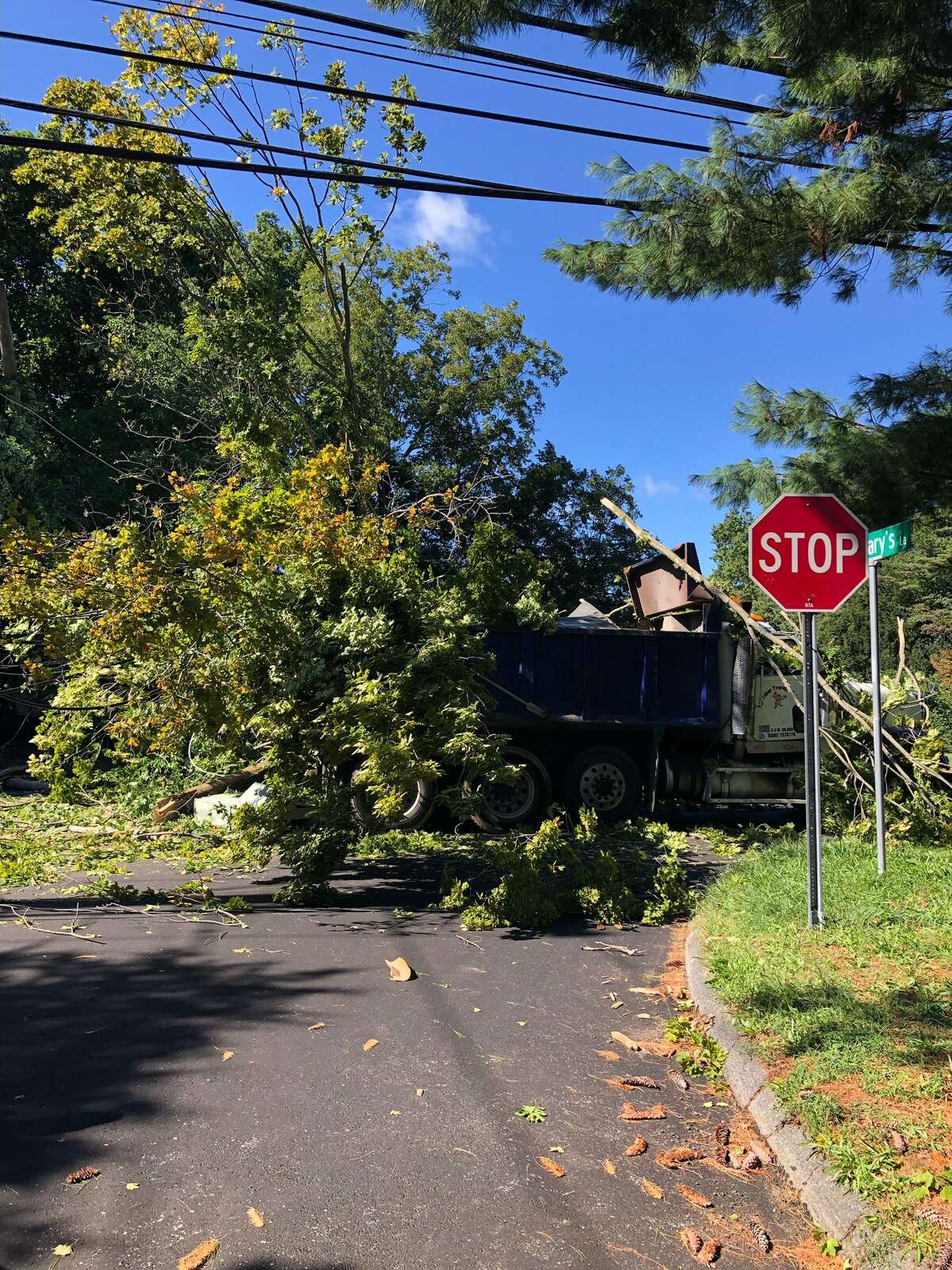 Police in Norwalk have closed a section of West Rocks Road after a tree fell on utility wires and a truck shortly before noon on Friday. Police said the driver was out of the vehicle. Close to 1,000 outages were reported in the city, according to Eversource.